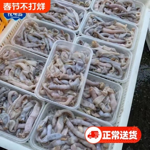 探味岛【顺丰包邮】福建东山岛新鲜活冻沙虫鲜活沙蚕去肚去沙海肠