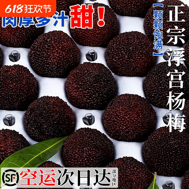 云南杨梅鲜果现摘现发孕妇水果2025当季新鲜