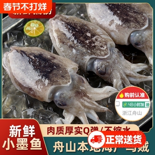 真正舟山小墨鱼新鲜墨鱼仔超大号冷冻生海鲜鲜活水产大乌贼目鱼