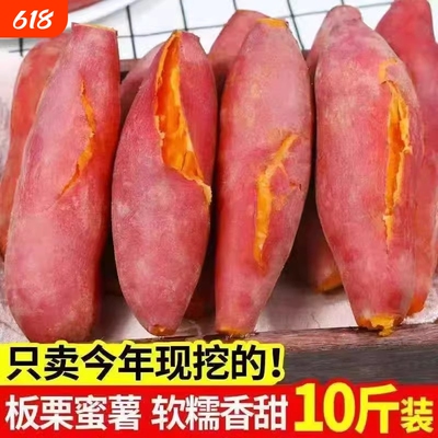 沙土地蜜薯10斤新鲜红薯农家自种红薯黄心超甜地瓜番薯黄心板栗薯