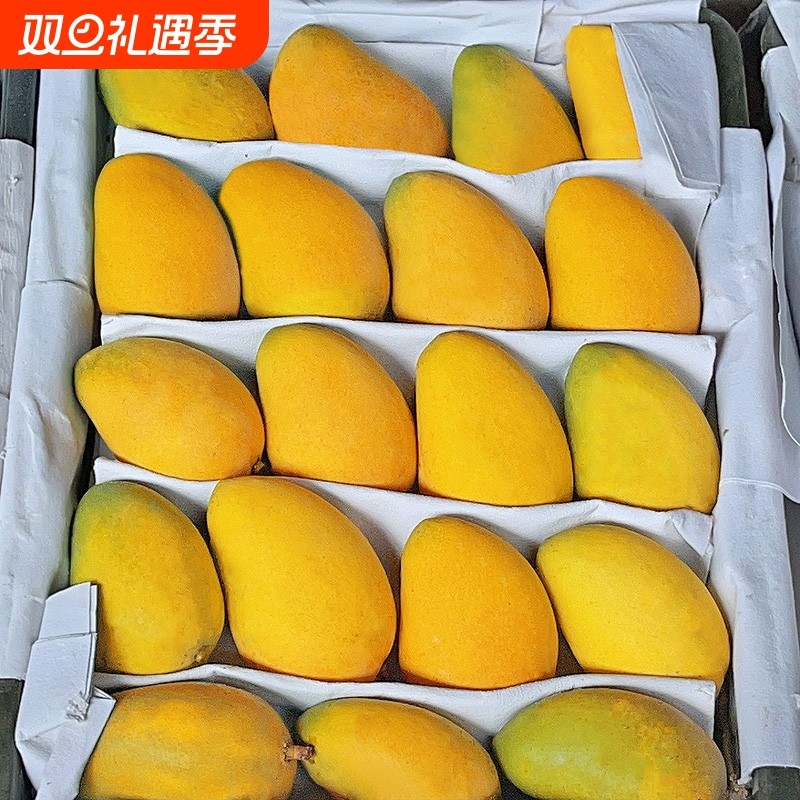 海南芒果新鲜小台芒当季特产水果现摘芒果非大果