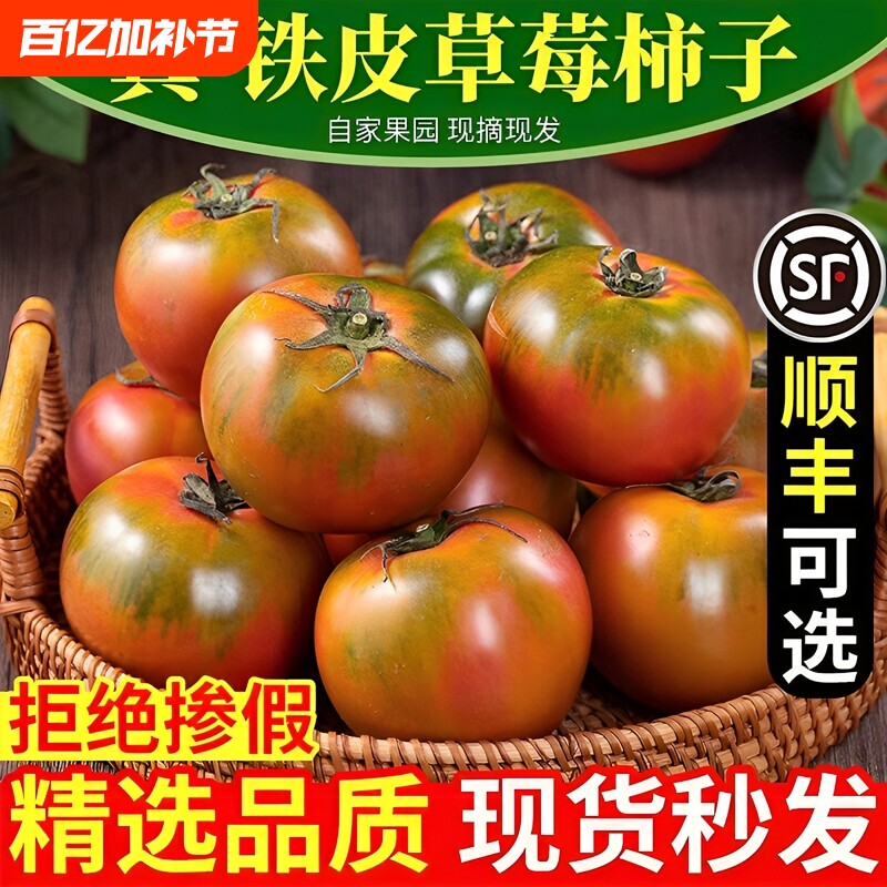 正宗丹东铁皮草莓柿子盘锦碱地即食新鲜自然熟绿腚番茄水果西红柿