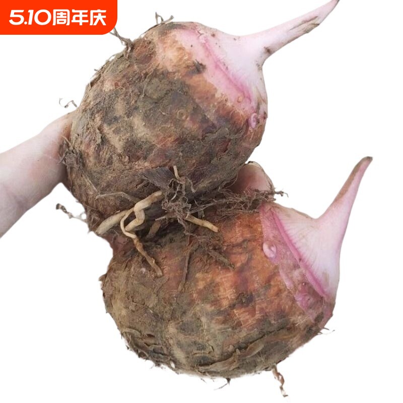 广西芋头荔浦红芽小芋头现挖现发粉香糯甜巴马凤山特产包邮香芋