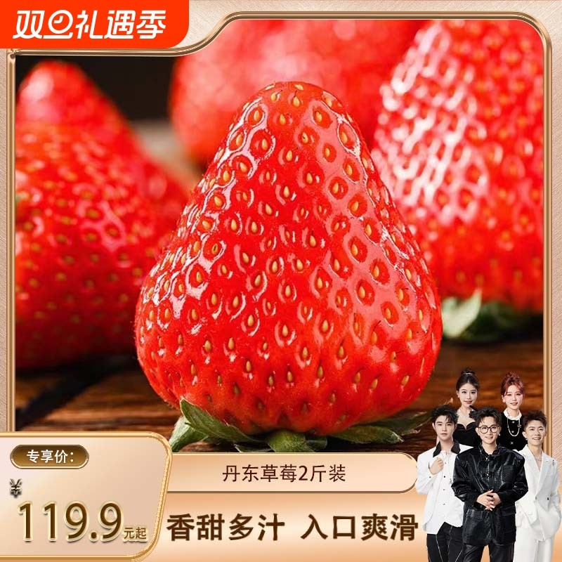 香菇来了新鲜丹东草莓水果牛奶东北果香浓郁多汁果蔬