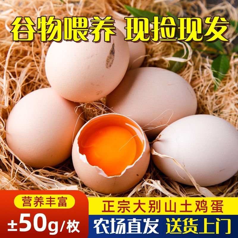 山林散养土鸡蛋儿童孕妈营养蛋白