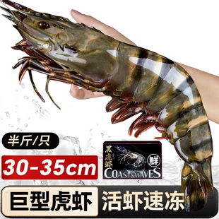 黑虎虾鲜活超大新鲜大虾速冻海鲜水产老虎虾特大基围虾竹斑九节虾
