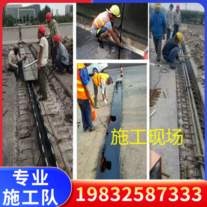 同步顶升更换橡胶支座旧桥改造养护移位调平伸缩缝更换胶条施工