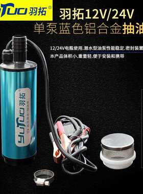 羽拓蓝色铝合金迷你抽油泵124v抽柴油抽水电动大功率不烧机抽油泵