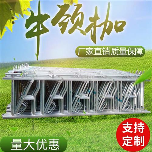 牛颈枷养牛设备 器械牛颈夹养牛场用品 养牛设备畜牧用品自锁式牛