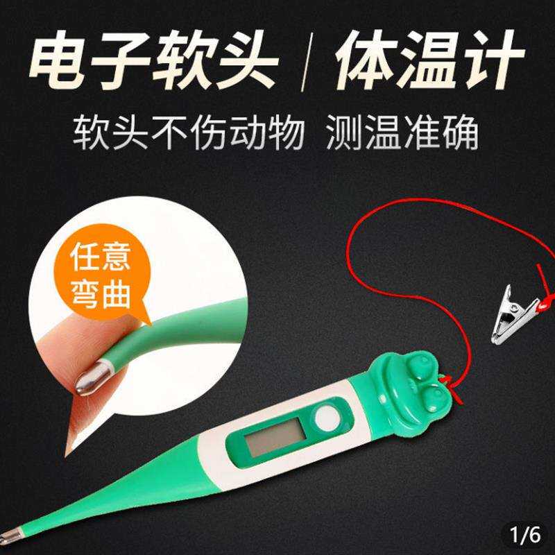 极速小鼠测温仪 生物体温计 大鼠测温仪 动物体温计 宠物肛温计