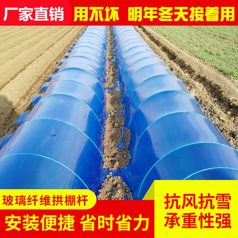 玻璃纤维拱棚支架3米保温爬藤塑料棒菜棚塑料大棚农膜温棚小棚条4
