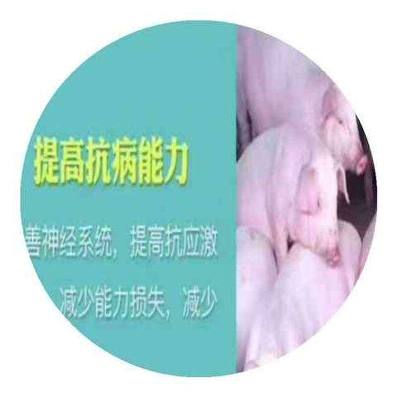极速兽用日长五斤催肥催长增重增肥兽用猪马牛羊旺长疯长素饲料添