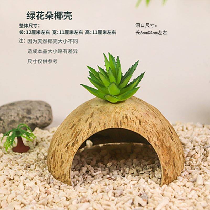 极速寄居蟹躲避天然椰壳躲避屋攀爬小窝爬宠造景装饰洞穴蜥蜴守宫