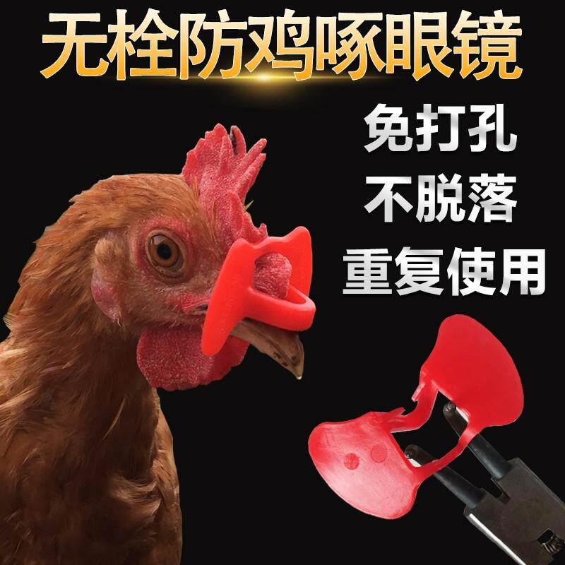 极速防啄鸡用眼镜家鸡眼镜鸡带的眼镜小鸡防啄眼镜鸡的眼镜鸡戴的