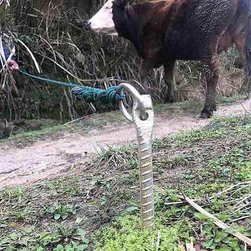 极速加长加粗大型犬用养殖牛马羊帐篷大棚螺纹栓拴狗桩地栓地钉地