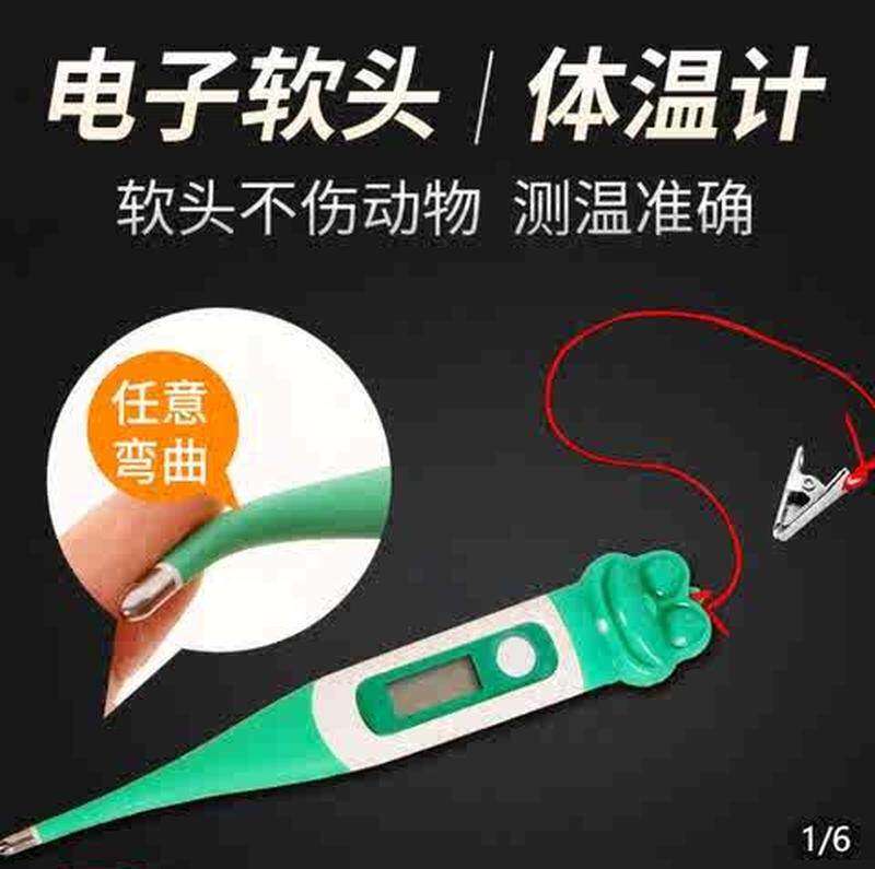 极速小鼠测温仪生物体温计大鼠测温仪动物体温计宠物肛温计