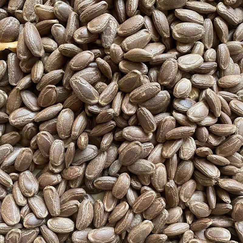 吊瓜子原味特大颗粒520g袋椒盐坚果炒货休闲特产奶油味新鲜年货,零食/坚果/特产,瓜子,淘宝优惠券,粉丝福利购,淘宝优惠卷