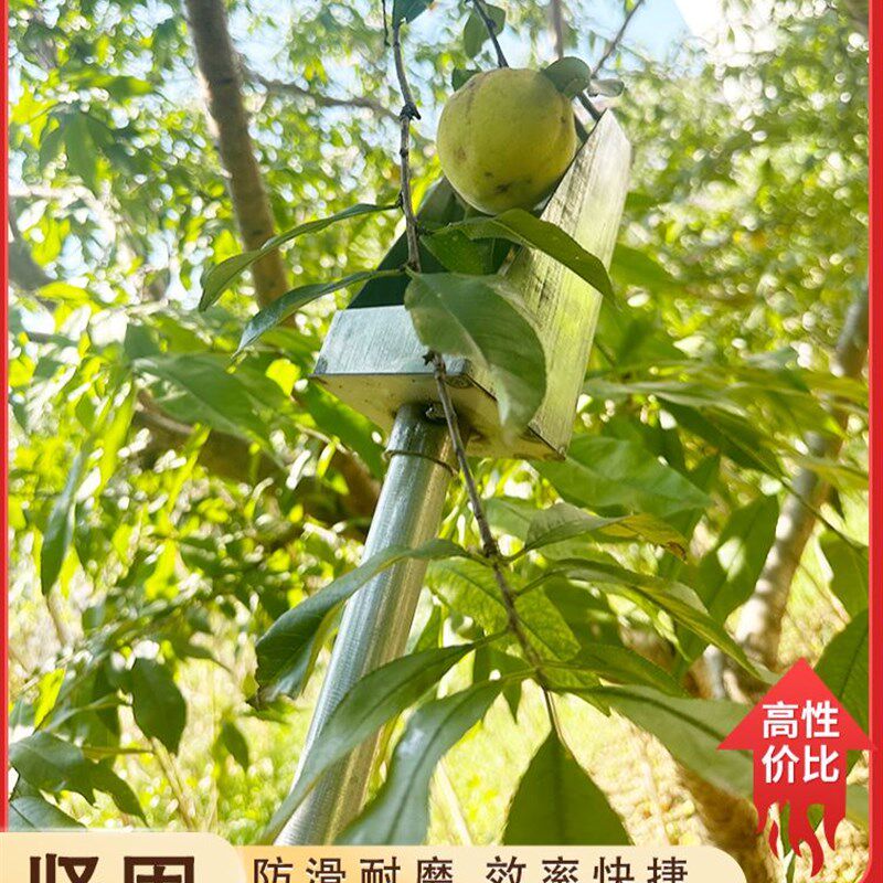 现货速发摘酸枣神器伸缩杆 摘枣神器伸缩杆 新型摘酸枣子神器大全