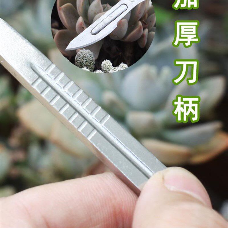 现货速发艺术秀园艺多肉砍头刀嫁接刀工具组合芽接刀不锈钢月季嫁