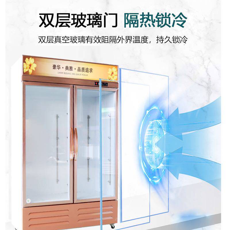 现货速发商用饮料柜饭店冷藏啤酒柜商店冷饮柜风冷冰柜玻璃单双门