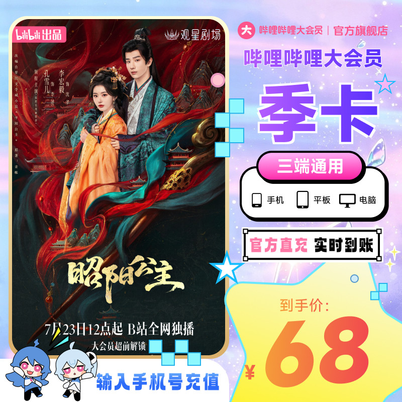 哔哩哔哩大会员季卡3个月 B站bilibili大会员官方直充 不支持电视图片