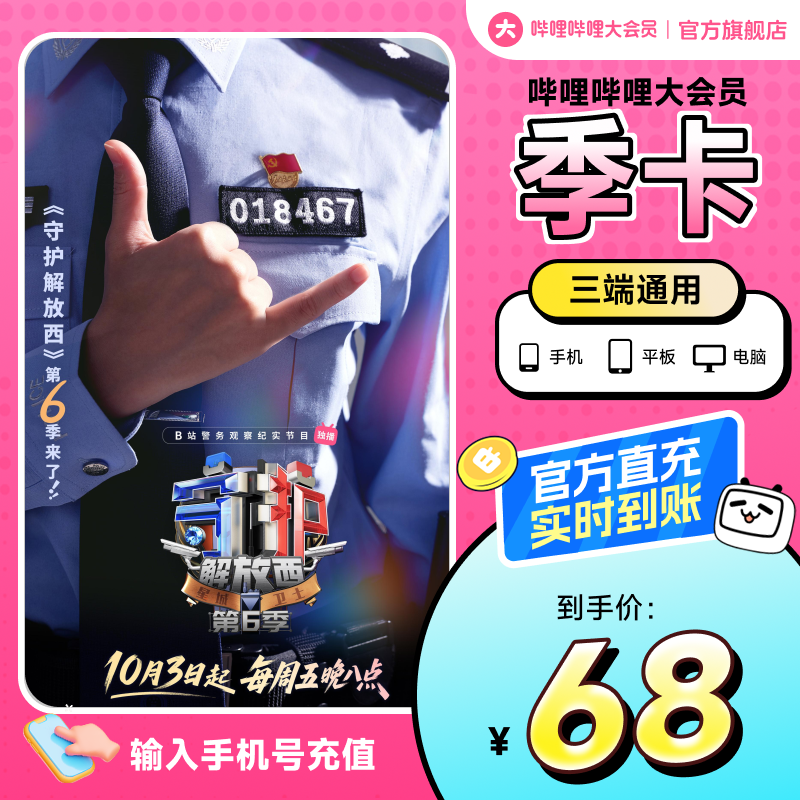 哔哩哔哩大会员季卡Bilibili大会员季卡三个月守护解放西6官方