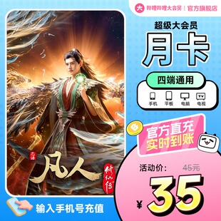 B站vip大会员电视大会员 哔哩哔哩超级大会员1个月卡 支持电视