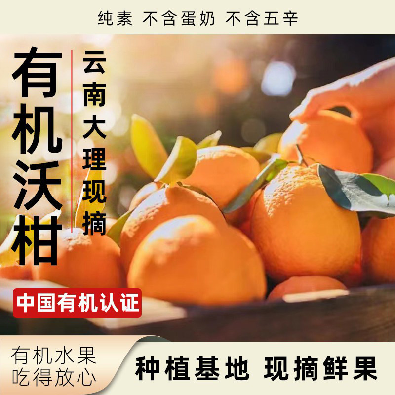 素方舟有机沃柑现摘新鲜水果桔子当季鲜果橘子云南大理特色柑桔