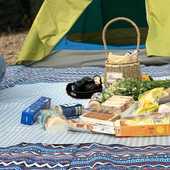 户外波西米亚野餐垫布防潮垫草坪垫子草地加厚 防水野餐布露营 新品