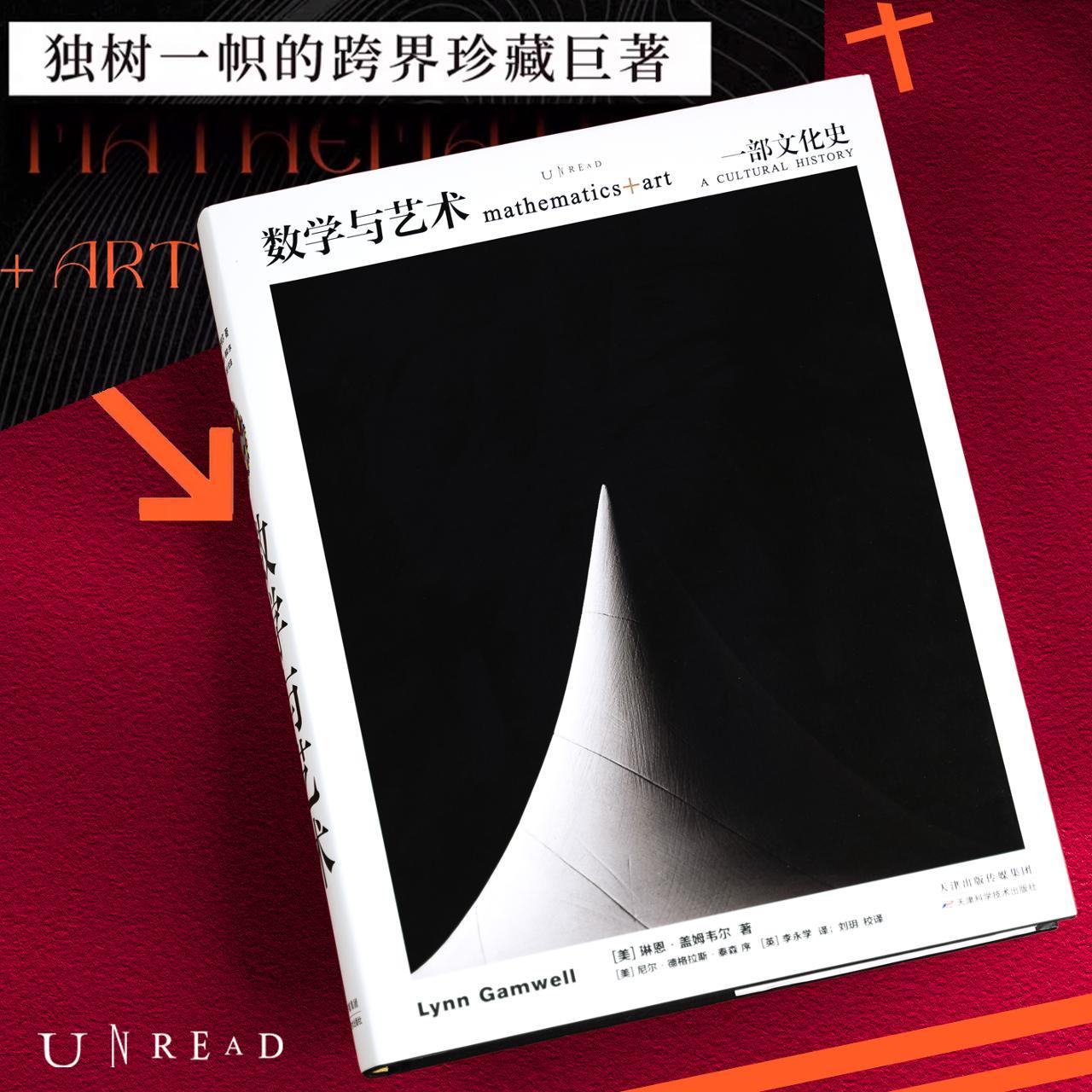 未读数学与艺术中文版大开本精装