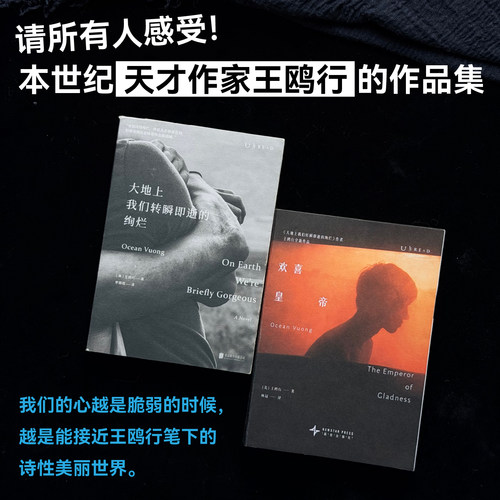 【套装限赠护书袋】欢喜皇帝 王鸥行新作 大地上我们转瞬即逝的绚烂作者 外国文学小说 未读