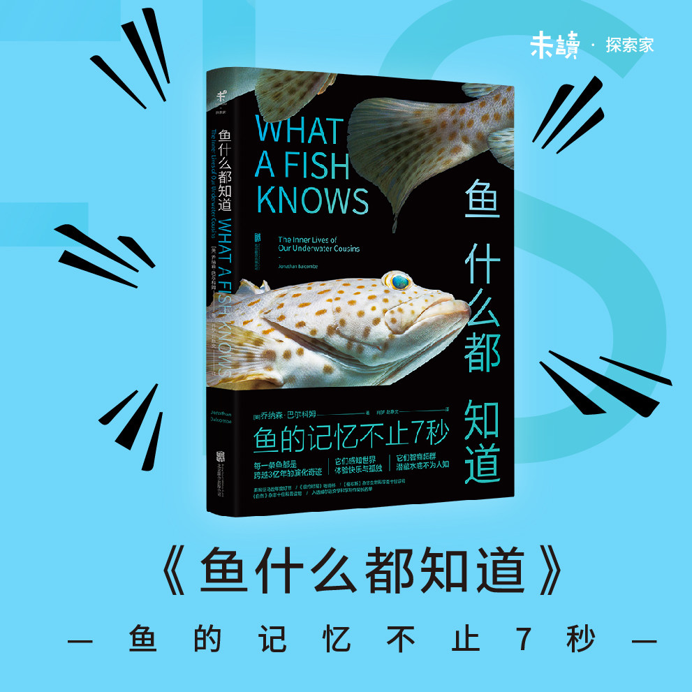 鱼什么都知道 颠覆已有认知的鱼类科普力作 和人类一样,每条鱼都是跨越3亿年的演化奇迹 《纽约时报》十佳科普读物 未读