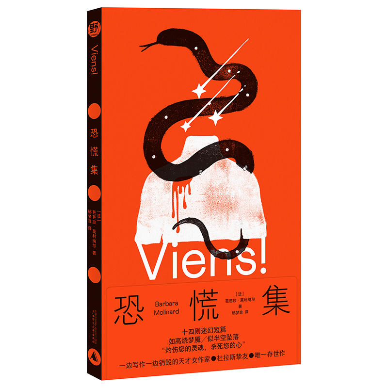 恐慌集 十四则迷幻短篇，献给神经质的我们 杜拉斯的天才女友，芭芭拉仅存神秘奇书，华语世界首译！神秘/神经故事集 野望 贝贝特