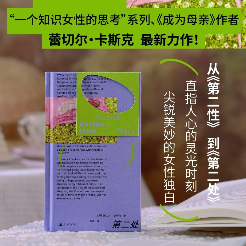 第二处（一个知识女性的思考系列，中年女性的心灵危机及自我救赎，《成为母亲》作者力作！探讨艺术与道德，解剖亲密关系）野望
