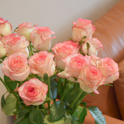 顺丰部分次日达玫瑰花年宵送女友家用办公室基地直发同城高品质