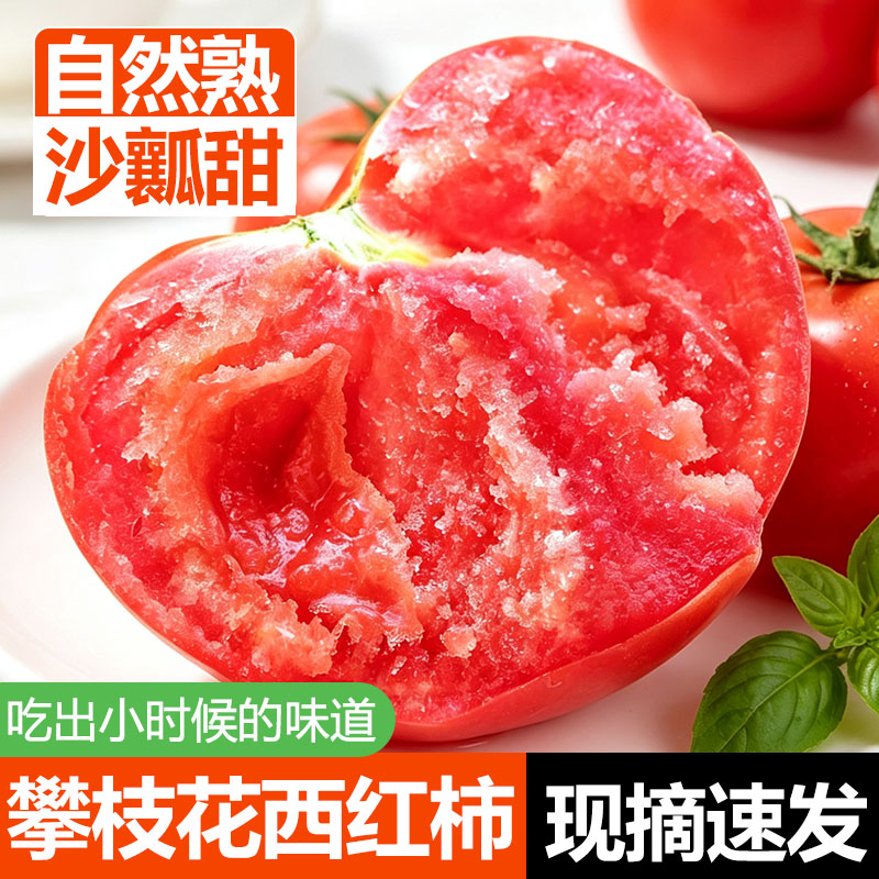 正宗攀枝花西红柿自然熟生吃沙壤农家当季新鲜水果蔬菜非普罗旺斯