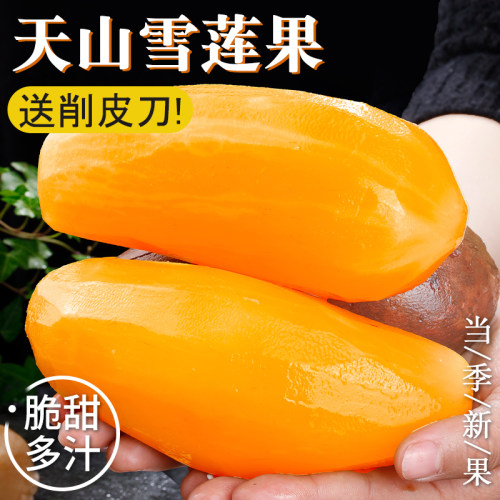 天山雪莲果新鲜水果应当季云南孕妇红心雪连果黄心特整箱直发