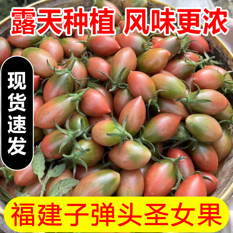 福建新鲜圣女果现摘小番茄子弹头当季五彩圣女果小西红柿整箱包邮,水产肉类/新鲜蔬果/熟食,番茄,淘宝优惠券,粉丝福利购,淘宝优惠卷