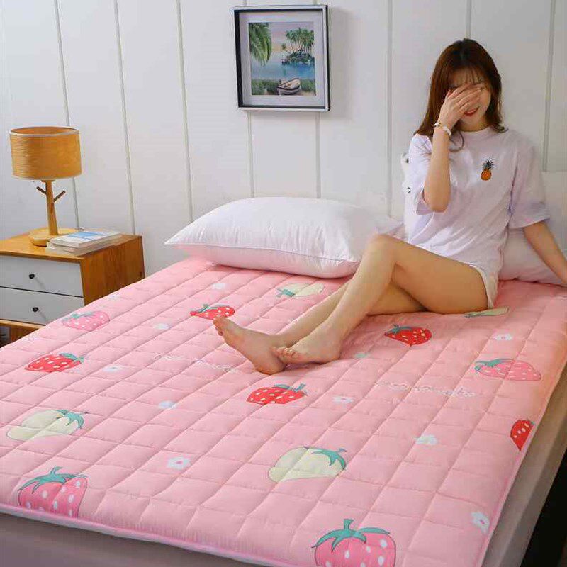 极速新款夏天全棉床垫软垫床褥子垫被家用18x2X22m13X5米床护垫薄