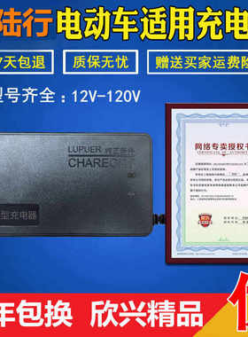 极速大陆行电动f车充电器原装24V48V12AH60V64V72V84V96V20AH通用