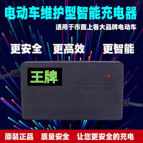 极速电动车电瓶智能专用充电器原装36V48CV60V72V96V120V20AH包邮