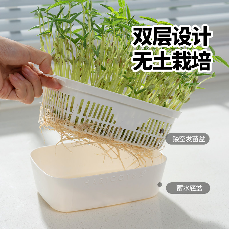 极速日本进口豌豆苗发芽盆绿豆芽栽培器J蔬菜猫草种植无土水培育