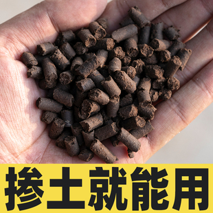 极速农家发酵鸡粪颗n粒有机肥肥肥料粪肥鸡屎猪粪蔬菜专用种菜农