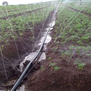 极速地灌管水带农用m微喷带喷水带滴灌带雾化灌溉微喷喷灌滴灌设