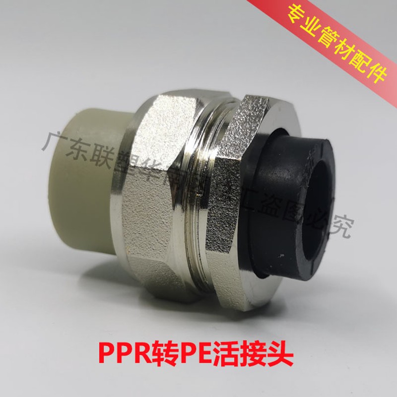 PPR直通转PE直接转接头4分6分1寸活接20 25 2转换接头热熔连接