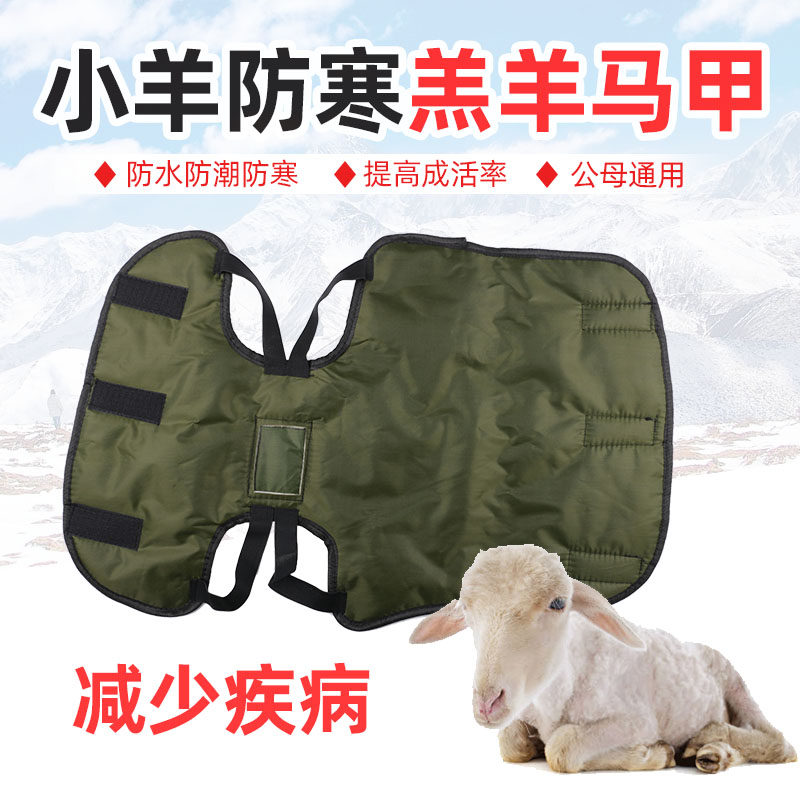 速发畜牧兽用新生羊羔保暖马甲 小羊防寒马甲 小羊衣服马保甲温服