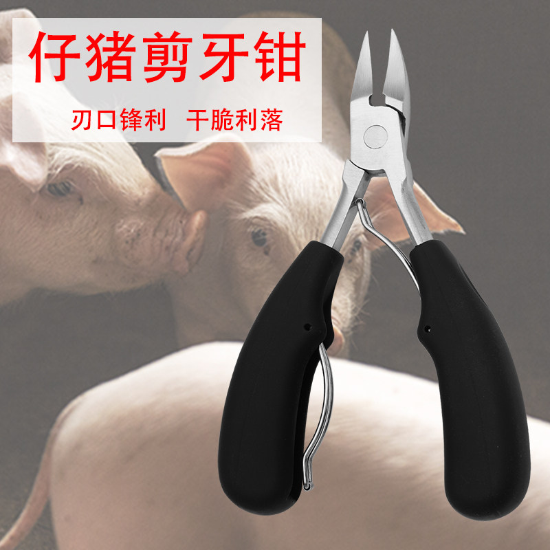 速发小猪剪牙用不锈钢兽钳仔猪兔仔断齿小猪子断牙剪齿钳动物养殖