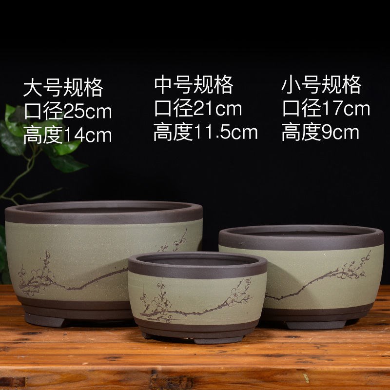 速发盆景绿个紫砂吊兰花萝手工古典盆性创意绿植盆栽多肉盆