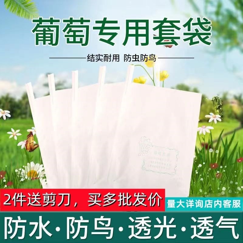 葡萄套袋育苗防虫袋防鸟防雨露天木浆纸光玫瑰袋子巨峰纸袋