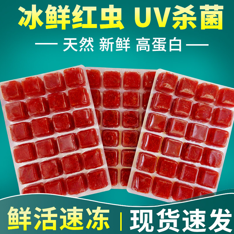 速发红虫冰冻牛心汉彩丰年虾冷冻红线血虫鱼粮饲七堡六角龙鱼食料
